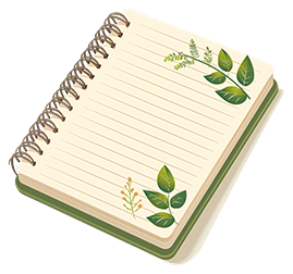 Office Stationery (Notepads, Envelopes)