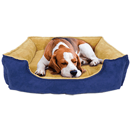 Pet Carriers & Beds